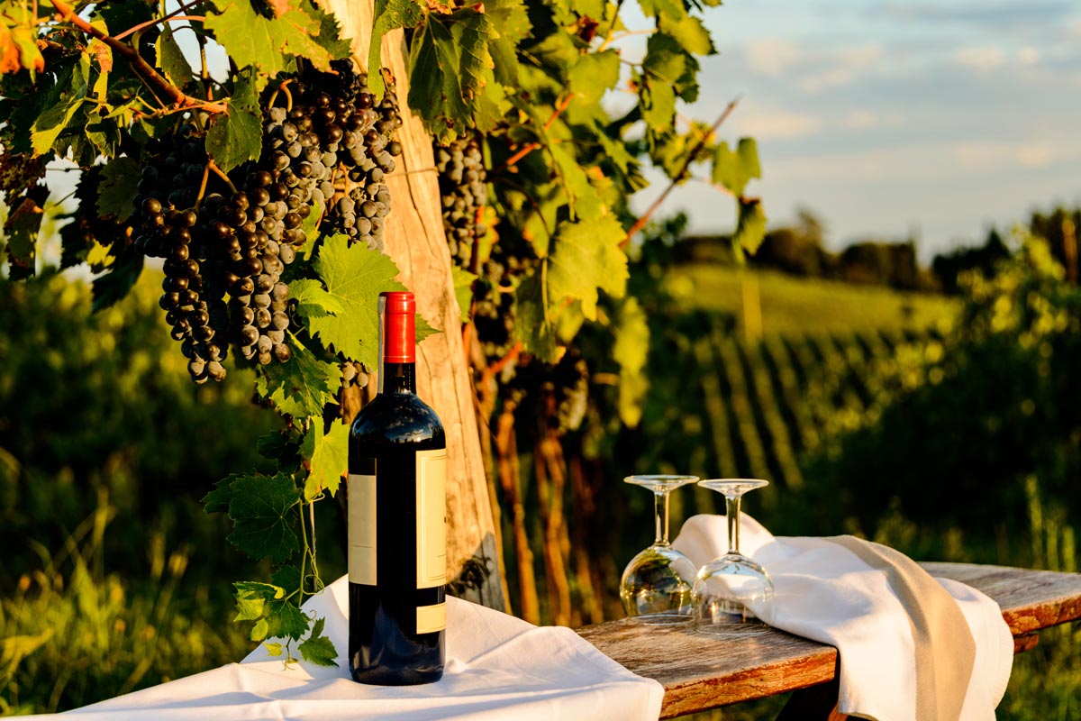 wine chianti tuscany