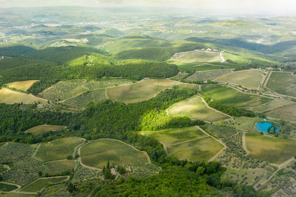 chianti bosco Siena e Chiantigiana