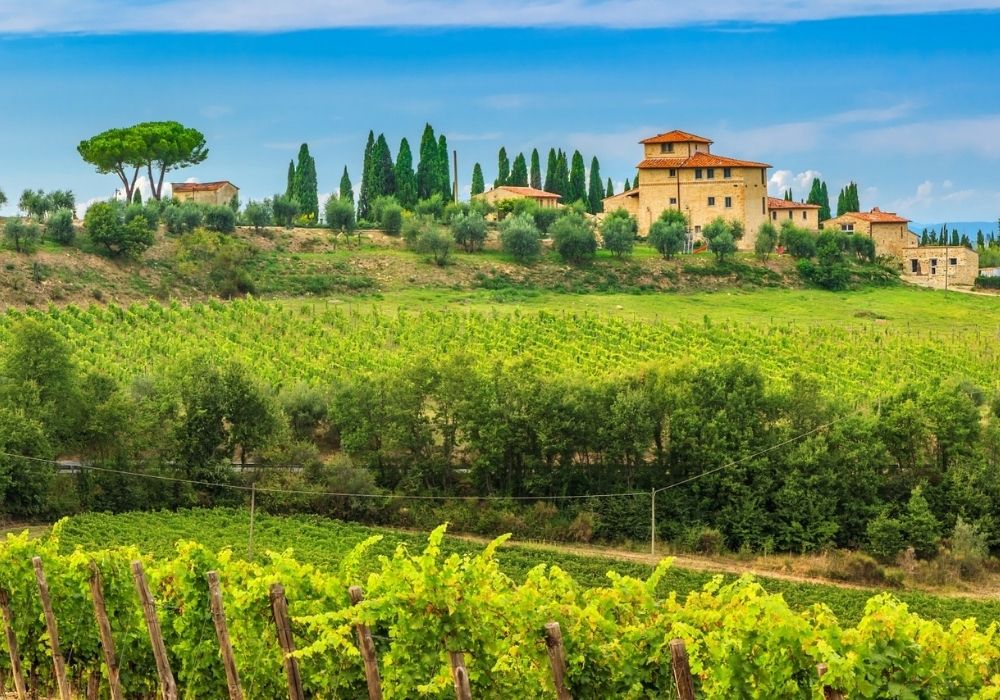 Chianti (3)