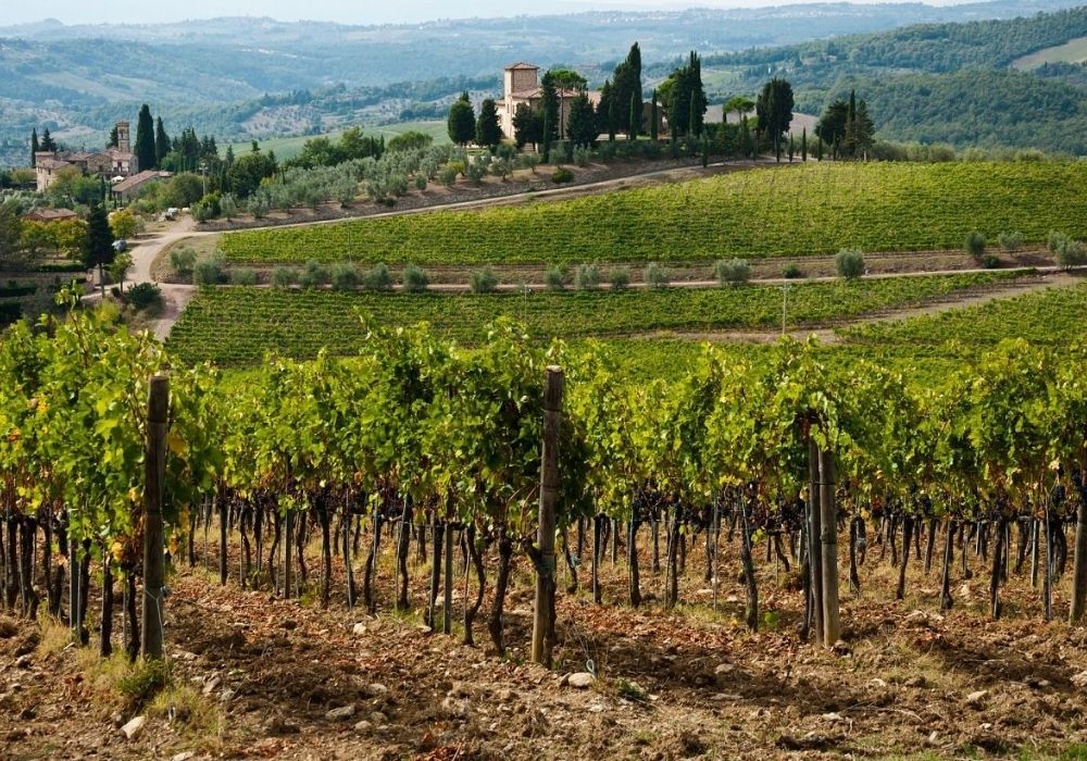 Chianti (4)