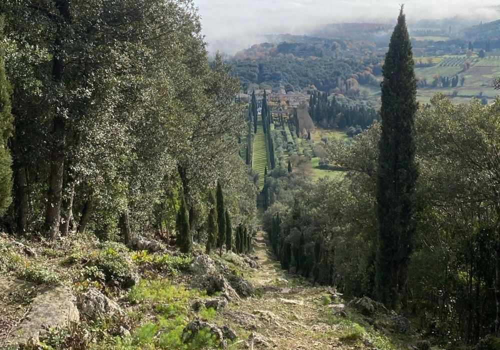 Sovicille (4)